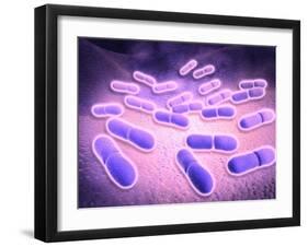 Microscopic View of Listeria Monocytogenes-null-Framed Art Print