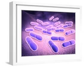 Microscopic View of Listeria Monocytogenes-null-Framed Art Print