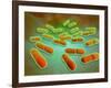 Microscopic View of Listeria Monocytogenes-null-Framed Art Print