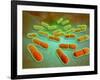 Microscopic View of Listeria Monocytogenes-null-Framed Art Print