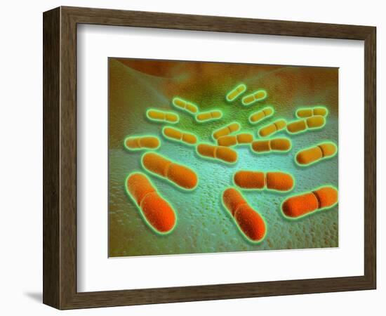 Microscopic View of Listeria Monocytogenes-null-Framed Art Print