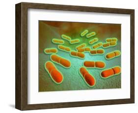 Microscopic View of Listeria Monocytogenes-null-Framed Art Print