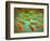 Microscopic View of Listeria Monocytogenes-null-Framed Art Print