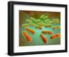 Microscopic View of Listeria Monocytogenes-null-Framed Art Print