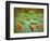 Microscopic View of Listeria Monocytogenes-null-Framed Art Print