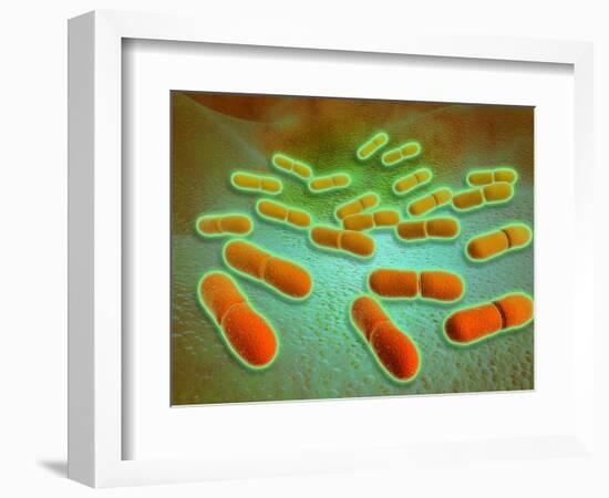 Microscopic View of Listeria Monocytogenes-null-Framed Art Print