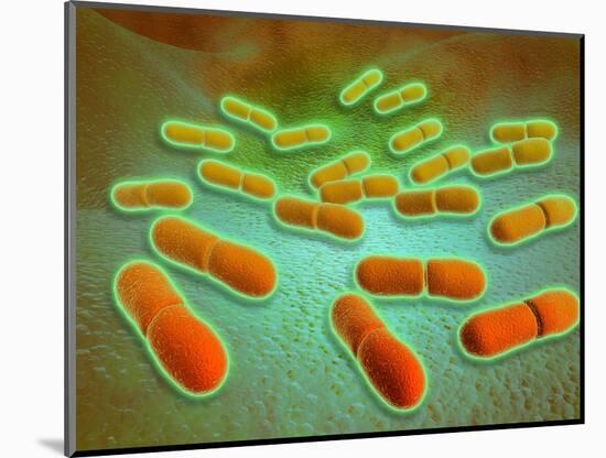 Microscopic View of Listeria Monocytogenes-null-Mounted Art Print