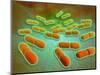 Microscopic View of Listeria Monocytogenes-null-Mounted Art Print
