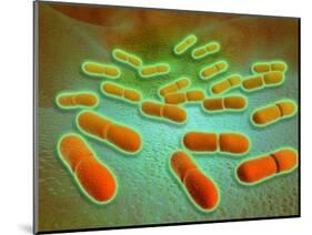 Microscopic View of Listeria Monocytogenes-null-Mounted Art Print