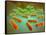 Microscopic View of Listeria Monocytogenes-null-Framed Stretched Canvas