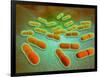 Microscopic View of Listeria Monocytogenes-null-Framed Art Print