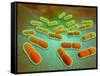 Microscopic View of Listeria Monocytogenes-null-Framed Stretched Canvas