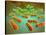 Microscopic View of Listeria Monocytogenes-null-Stretched Canvas
