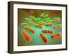 Microscopic View of Listeria Monocytogenes-null-Framed Art Print