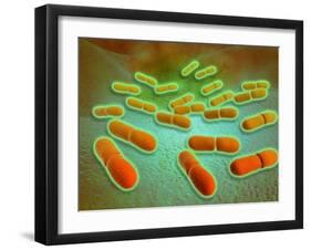 Microscopic View of Listeria Monocytogenes-null-Framed Art Print