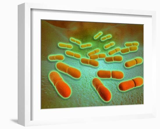 Microscopic View of Listeria Monocytogenes-null-Framed Art Print