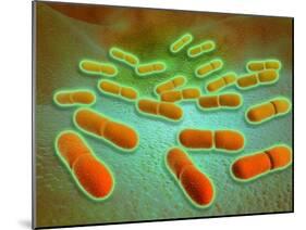 Microscopic View of Listeria Monocytogenes-null-Mounted Art Print