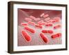 Microscopic View of Listeria Monocytogenes-null-Framed Art Print