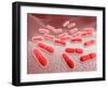 Microscopic View of Listeria Monocytogenes-null-Framed Art Print