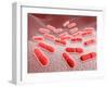 Microscopic View of Listeria Monocytogenes-null-Framed Art Print