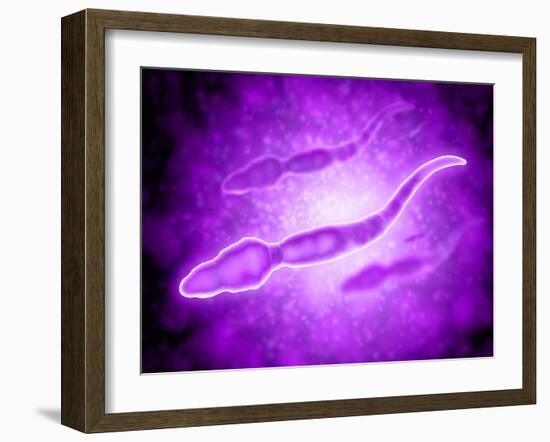 Microscopic View of Male Sperm Cells-null-Framed Art Print