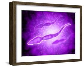 Microscopic View of Male Sperm Cells-null-Framed Art Print