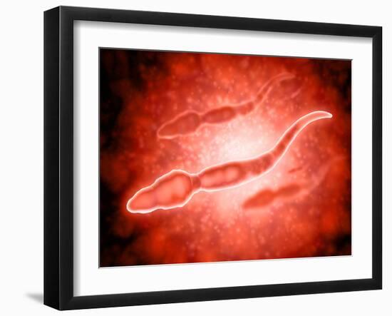 Microscopic View of Male Sperm Cells-null-Framed Art Print