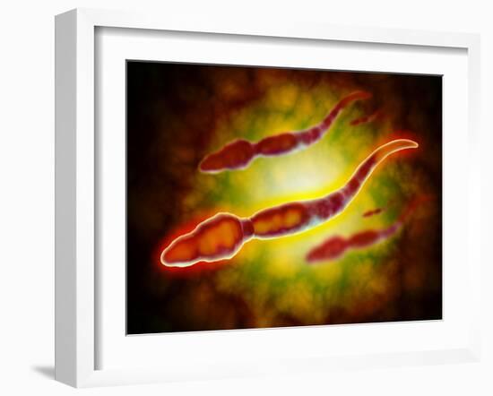 Microscopic View of Male Sperm Cells-null-Framed Art Print