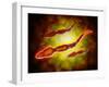 Microscopic View of Male Sperm Cells-null-Framed Art Print