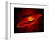 Microscopic View of Male Sperm Cells-null-Framed Art Print