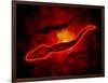 Microscopic View of Male Sperm Cells-null-Framed Art Print