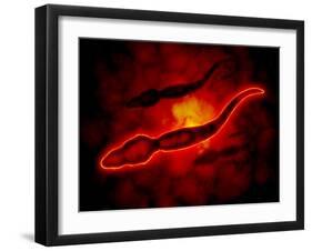 Microscopic View of Male Sperm Cells-null-Framed Art Print