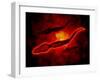 Microscopic View of Male Sperm Cells-null-Framed Art Print