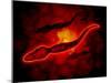 Microscopic View of Male Sperm Cells-null-Mounted Art Print