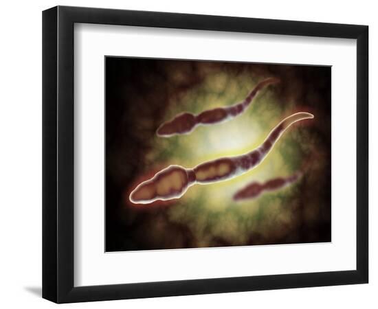 Art Print, , large