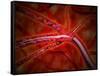 Microscopic View of Medicine Being Injected Inside the Artery-null-Framed Stretched Canvas