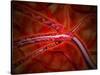 Microscopic View of Medicine Being Injected Inside the Artery-null-Stretched Canvas