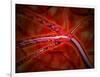 Microscopic View of Medicine Being Injected Inside the Artery-null-Framed Art Print