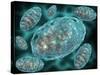 Microscopic View of Mitochondria-Stocktrek Images-Stretched Canvas