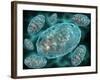 Microscopic View of Mitochondria-Stocktrek Images-Framed Photographic Print