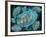 Microscopic View of Mitochondria-Stocktrek Images-Framed Photographic Print