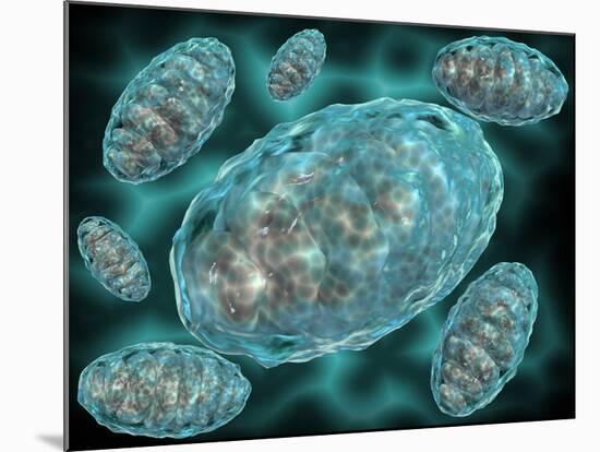 Microscopic View of Mitochondria-Stocktrek Images-Mounted Photographic Print