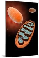 Microscopic View of Mitochondria-null-Mounted Art Print