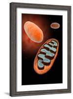 Microscopic View of Mitochondria-null-Framed Art Print