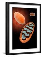 Microscopic View of Mitochondria-null-Framed Art Print