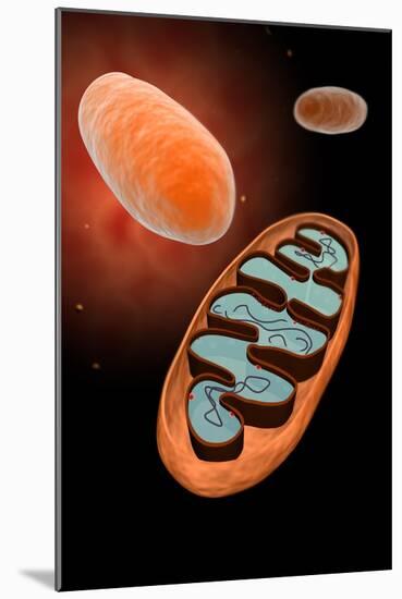 Microscopic View of Mitochondria-null-Mounted Art Print