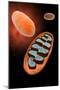 Microscopic View of Mitochondria-null-Mounted Art Print