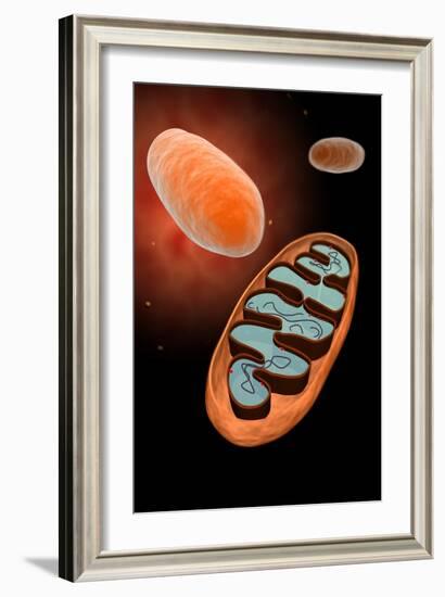 Microscopic View of Mitochondria-null-Framed Art Print