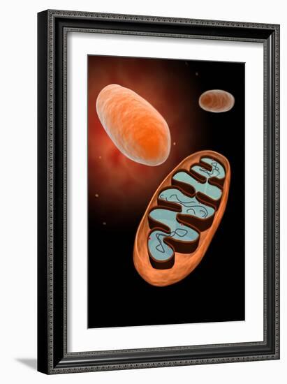 Microscopic View of Mitochondria-null-Framed Art Print