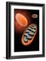Microscopic View of Mitochondria-null-Framed Art Print